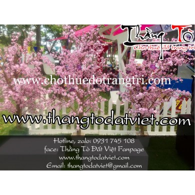 cho thuê cảnh Nhật bản 3